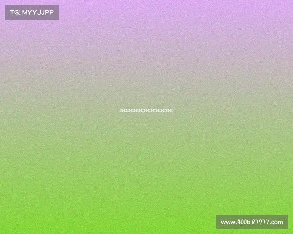 荷兰踢拳巅峰盛宴全球精英对决荷式格斗荣耀之夜