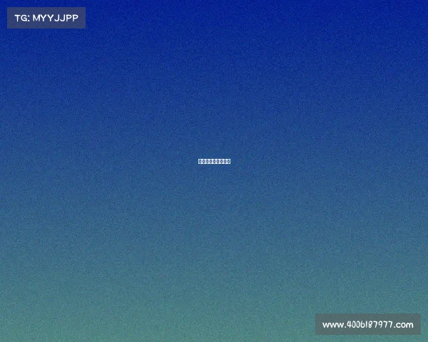 比利时近期比赛战绩